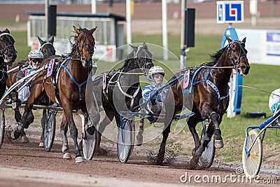 Harness racing in Sweden Editorial Stock Photo